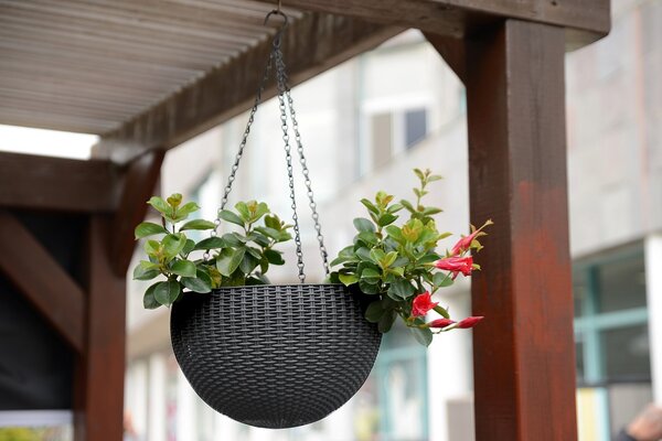Kvetináč Hanging GLOBE | hnedá