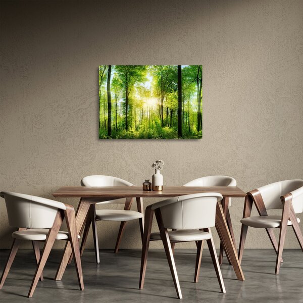 Sklenený obraz - Svitanie v lese (70x50 cm)