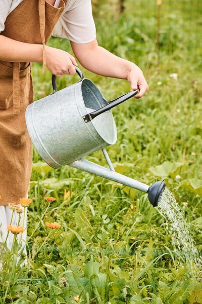 Záhradná konvica Zinc 9 l