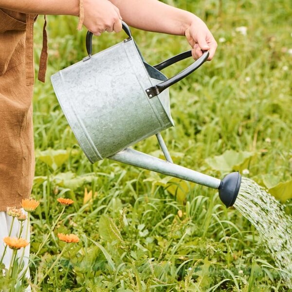 Záhradná konvica Zinc 9 l