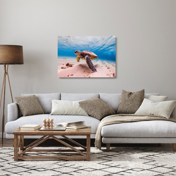 Sklenený obraz korytnačky v oceáne (70x50 cm)