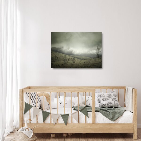 Sklenený obraz krajiny pred búrku (70x50 cm)