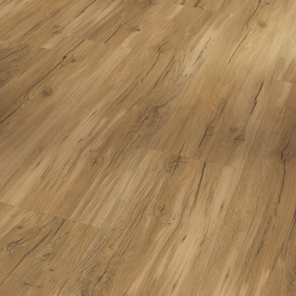 Vinyl Parador Classic 2025 Dub Memory prírodný 1748871 3,35 m²