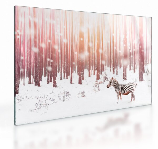 Sklenený obraz - Zebra v zasneženom lese (70x50 cm)