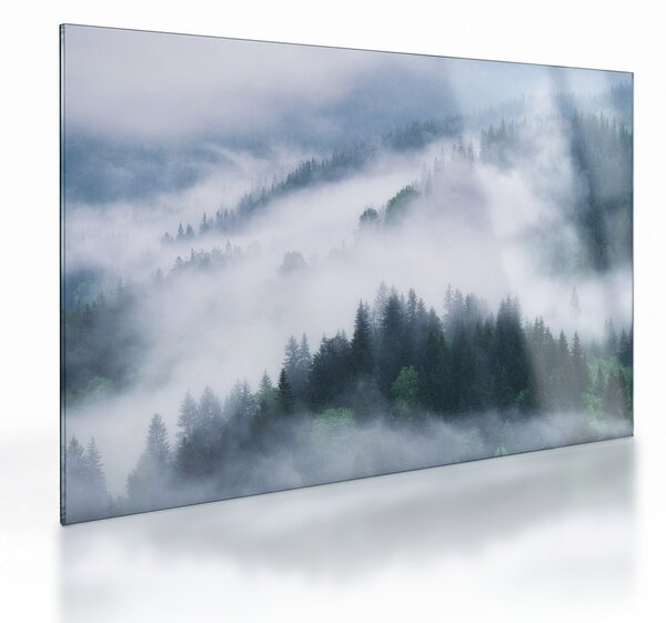 Sklenený obraz - Stromy v hmle (70x50 cm)
