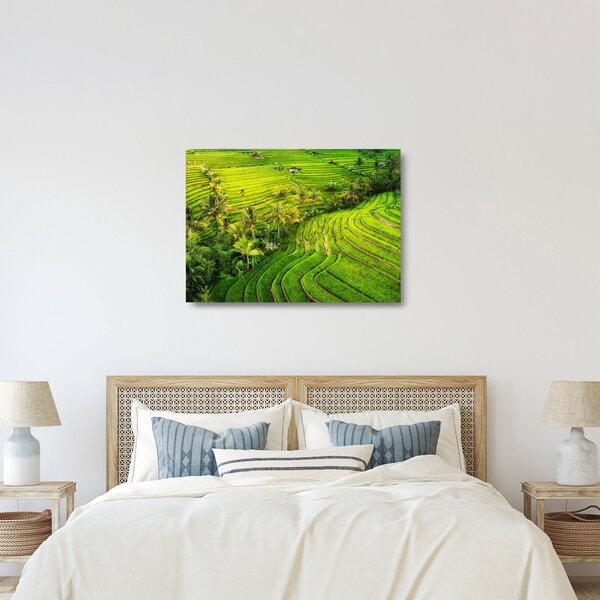 Sklenený obraz - Ryžové terasy (70x50 cm)