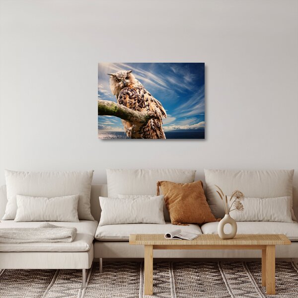 Sklenený obraz - Sova (70x50 cm)
