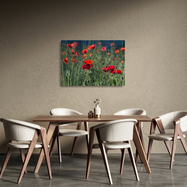 Sklenený obraz - Lúka s vlčími makmi (70x50 cm)