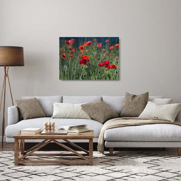 Sklenený obraz - Lúka s vlčími makmi (70x50 cm)