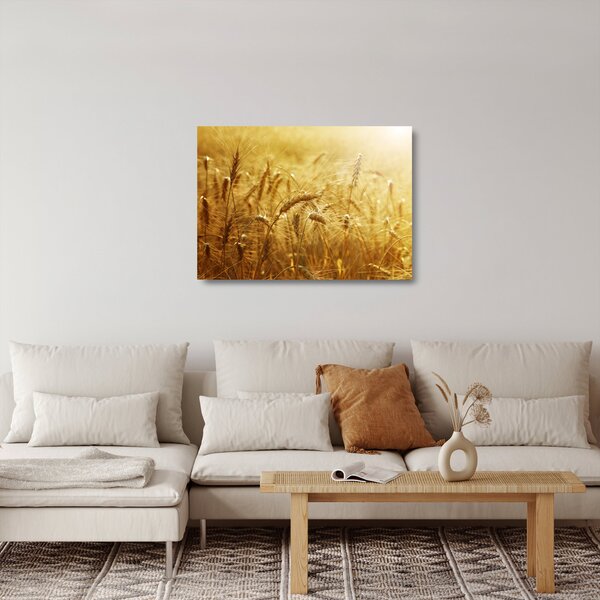 Sklenený obraz - Klasy obilia (70x50 cm)