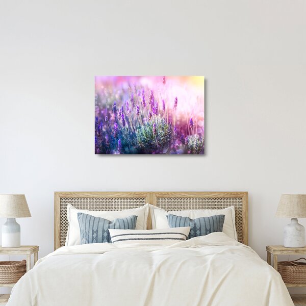 Sklenený obraz - Levanduľa vo trblietania slnka (70x50 cm)