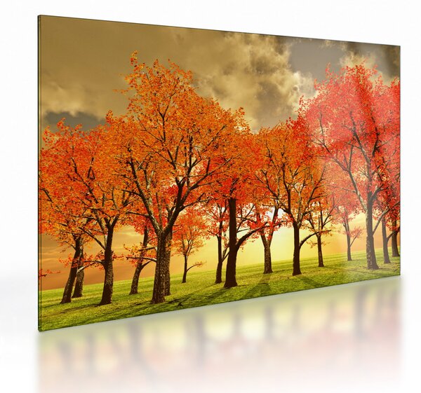 Sklenený obraz - Jeseň (70x50 cm)