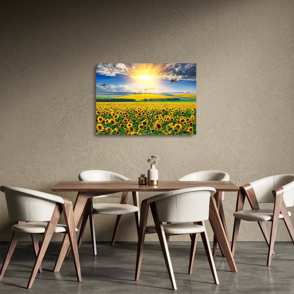 Sklenený obraz - Pole slnečníc (70x50 cm)