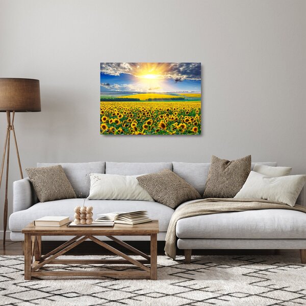 Sklenený obraz - Pole slnečníc (70x50 cm)
