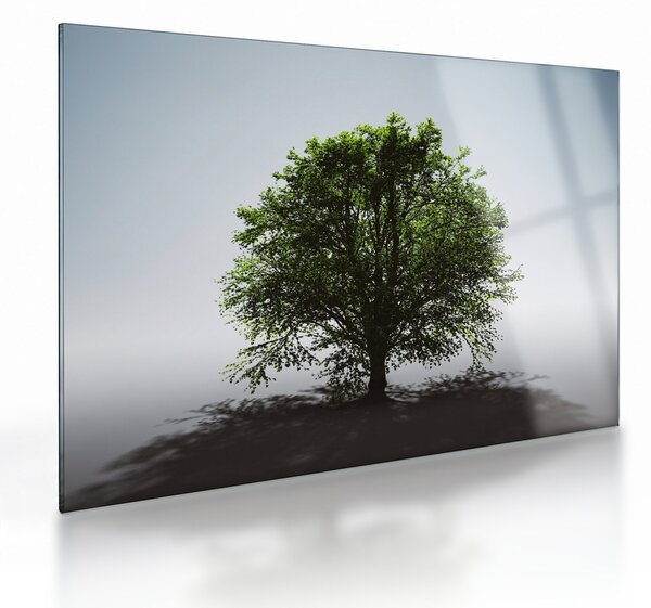 Sklenený obraz - Osamotený strom (70x50 cm)