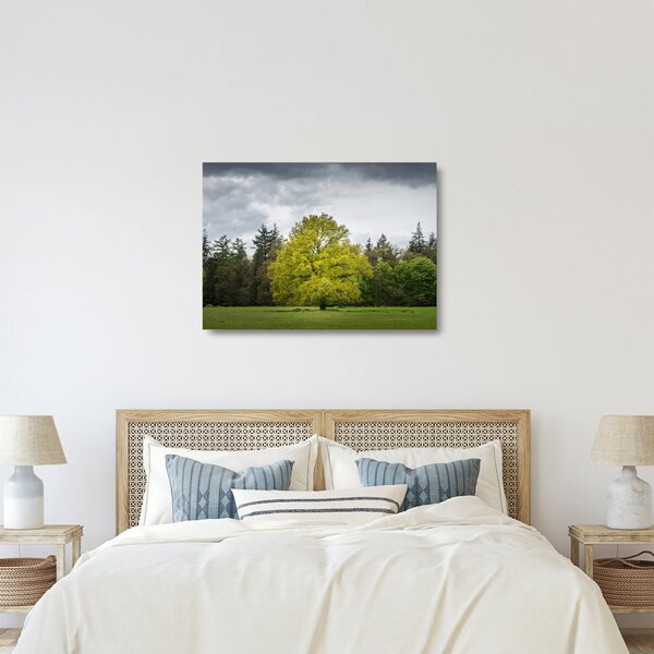 Sklenený obraz zeleného stromu uprostred poľa (70x50 cm)