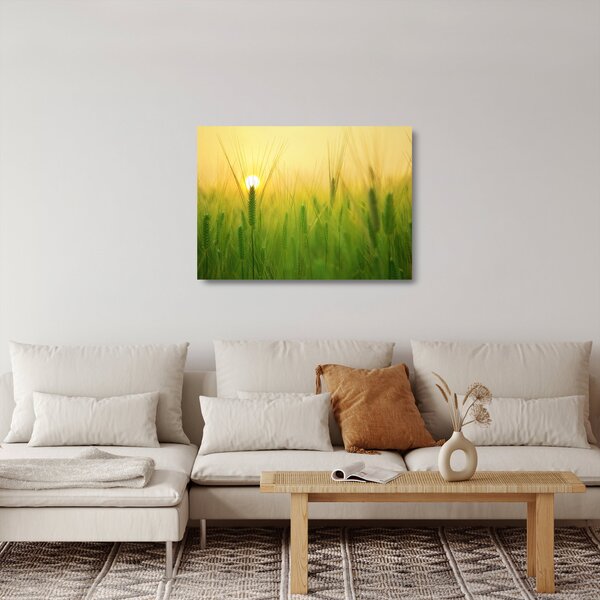 Sklenený obraz - Pole s obilím (70x50 cm)