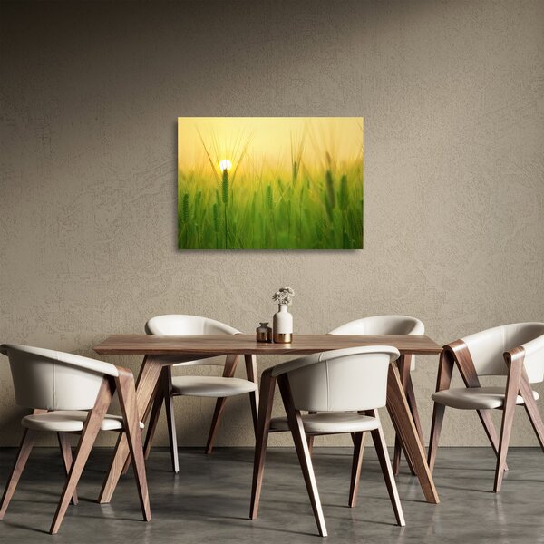 Sklenený obraz - Pole s obilím (70x50 cm)