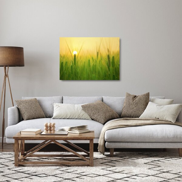 Sklenený obraz - Pole s obilím (70x50 cm)