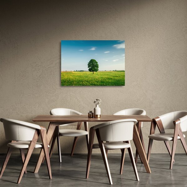 Sklenený obraz stromu uprostred lúky (70x50 cm)