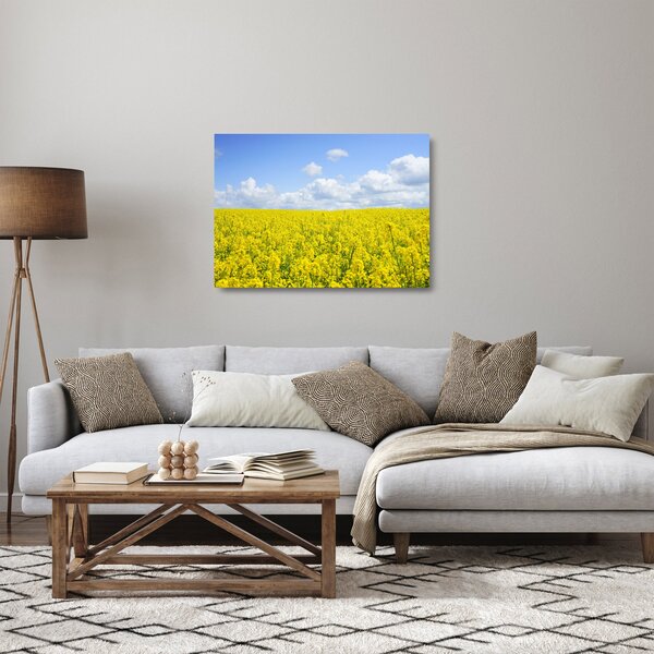 Sklenený obraz žltého poľa (70x50 cm)