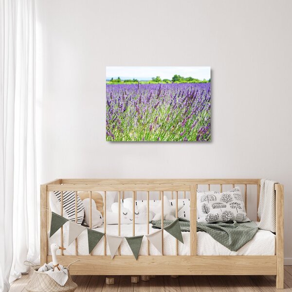Sklenený obraz poľa s levanduľou (70x50 cm)