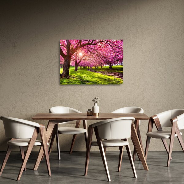 Sklenený obraz rozkvitnutých čerešní, Hurd Park, Dover, New Jersey (70x50 cm)