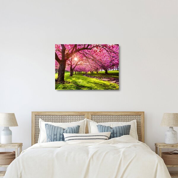 Sklenený obraz rozkvitnutých čerešní, Hurd Park, Dover, New Jersey (70x50 cm)