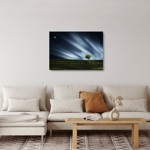 Sklenený obraz polárna žiara nad vresoviskom (70x50 cm)