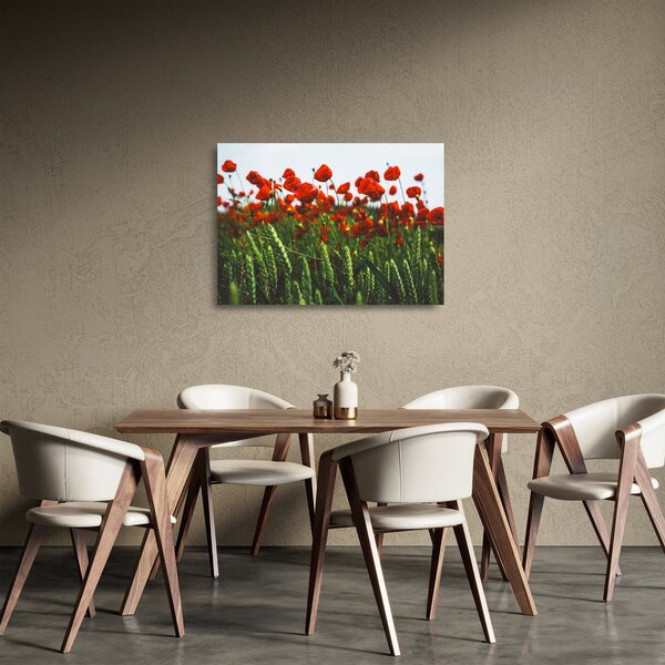 Sklenený obraz vlčích makov vo vetre (70x50 cm)