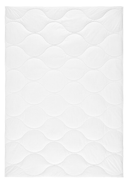 PRIKRÝVKA, 140/200 cm, polyester Sleeptex - Prikrývky & vankúše