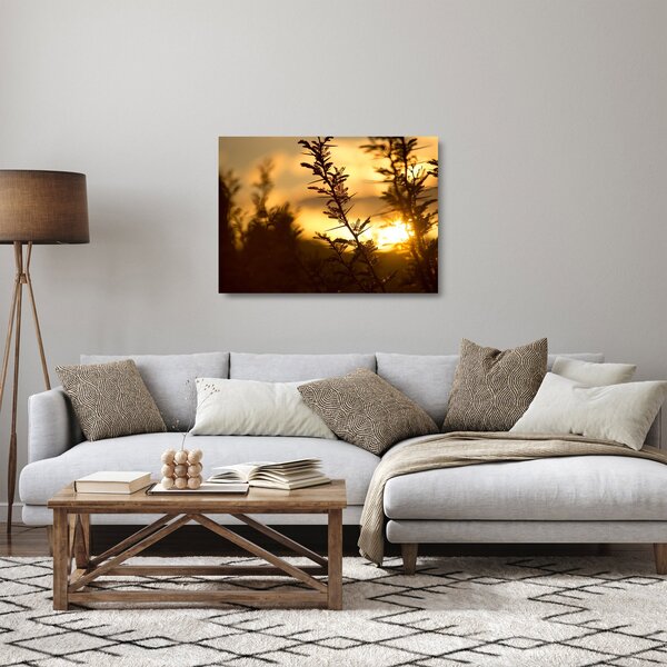Sklenený obraz - Slnko zapadajúce za stromami (70x50 cm)