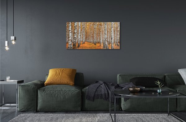 Obraz plexi Jesenné stromy 100x50 cm 2 Prívesky