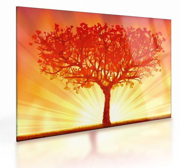 Sklenený obraz - Strom v žiari slnka (70x50 cm)