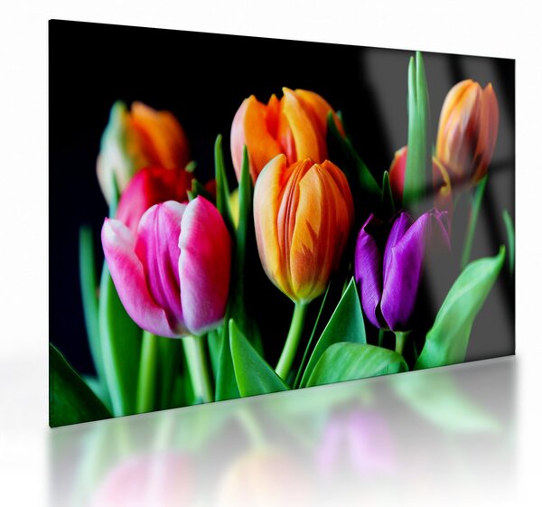 Sklenený obraz tulipánov na čiernom pozadí (70x50 cm)