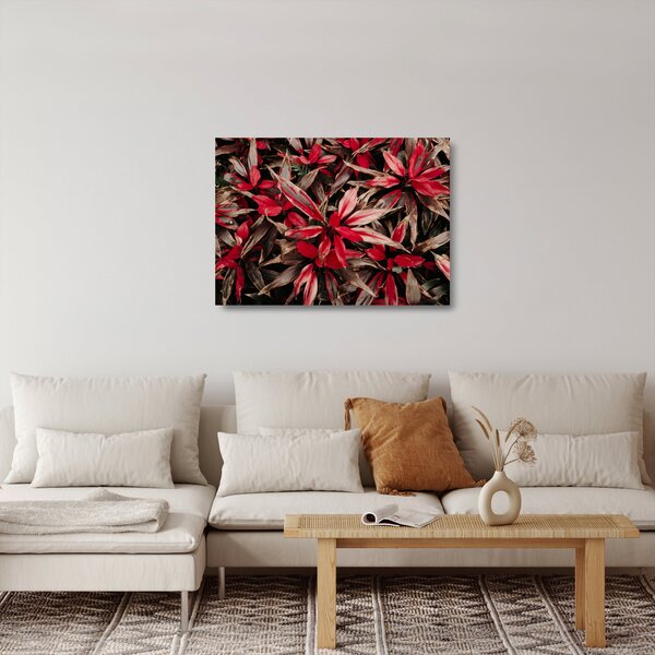 Sklenený obraz červených okvetných lístkov (70x50 cm)