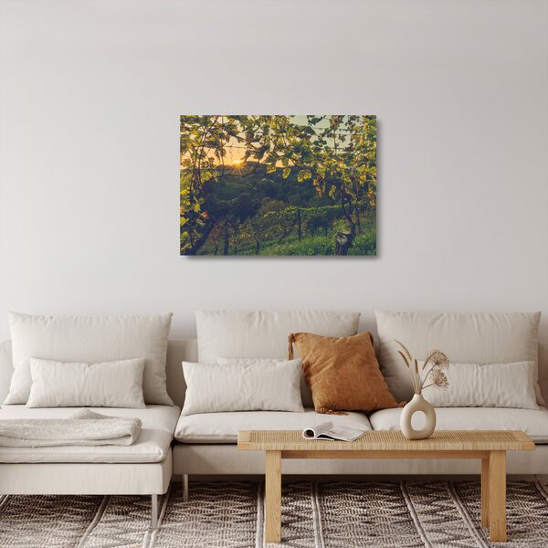 Sklenený obraz - Vinice (70x50 cm)