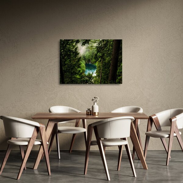 Sklenený obraz - Priezor medzi stromami (70x50 cm)