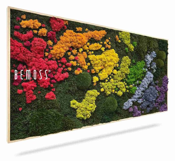 Machový obraz BEMOSS® ORTHO IRIS - 40 x 40 cm