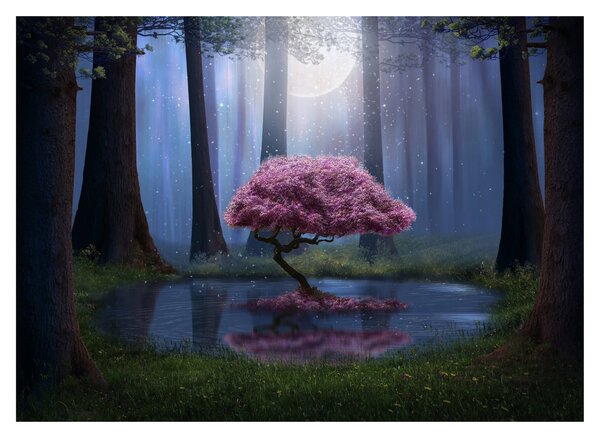 Sklenený obraz - Magická noc (70x50 cm)
