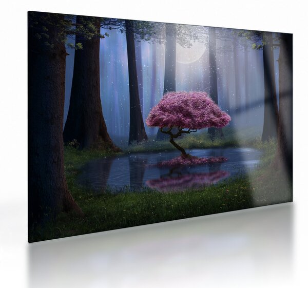 Sklenený obraz - Magická noc (70x50 cm)