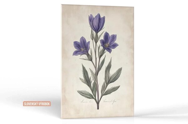 Karlsdesign.sk - Farebný obraz na stenu | Botanická krása - 20x30