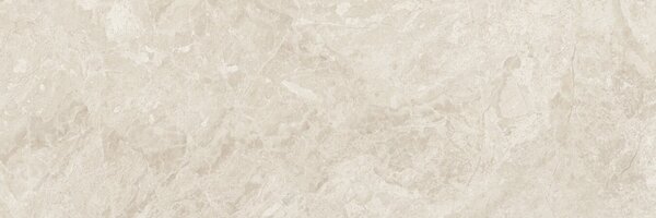 Canyon Bone 30x90 R