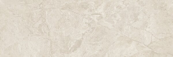 Canyon Bone 30x90 R