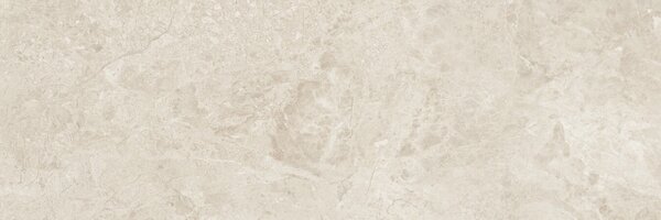 Canyon Bone 30x90 R