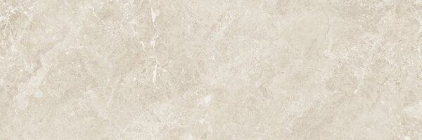 Canyon Bone 30x90 R