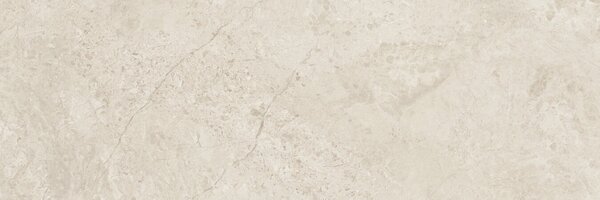 Canyon Bone 30x90 R