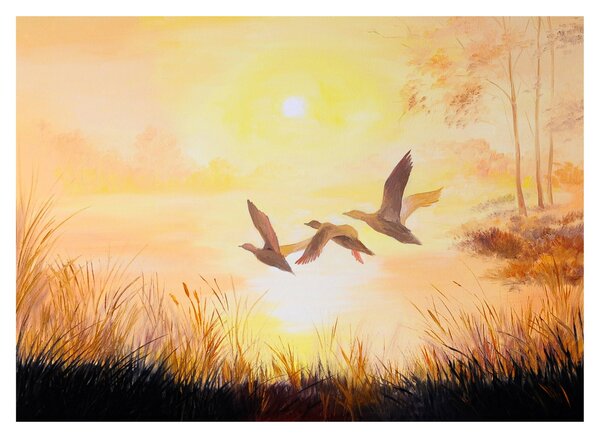 Sklenený obraz - Žeriavy pri západe slnka (70x50 cm)
