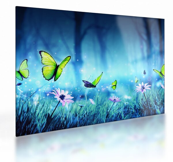 Sklenený obraz - Mystická lesná čistina (70x50 cm)