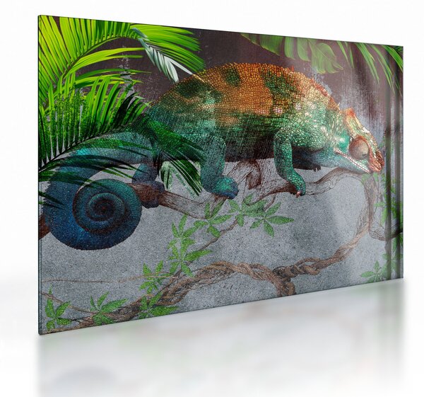 Sklenený obraz - Chameleon (70x50 cm)